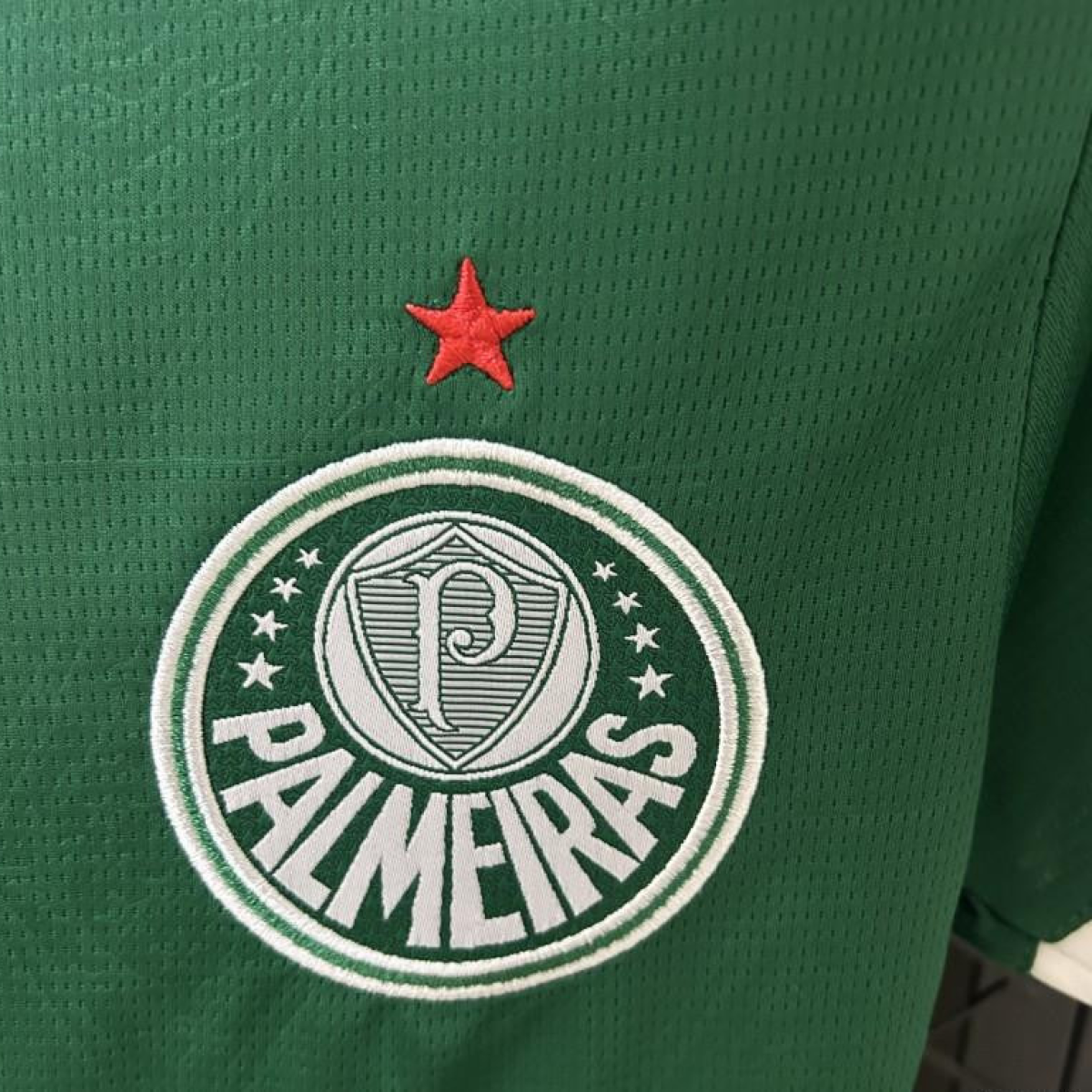 25/26 Women Palmeiras Home Jersey