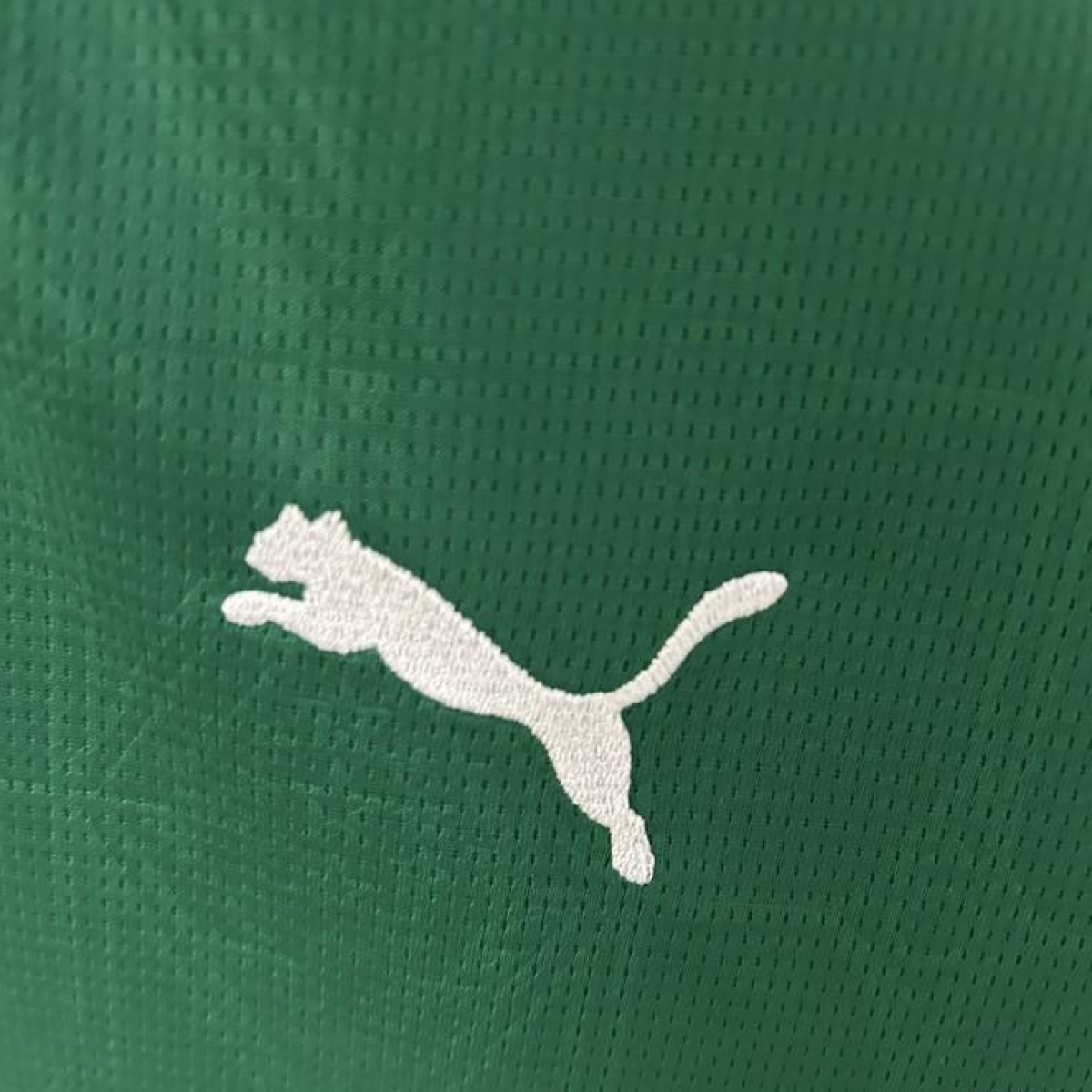 25/26 Women Palmeiras Home Jersey