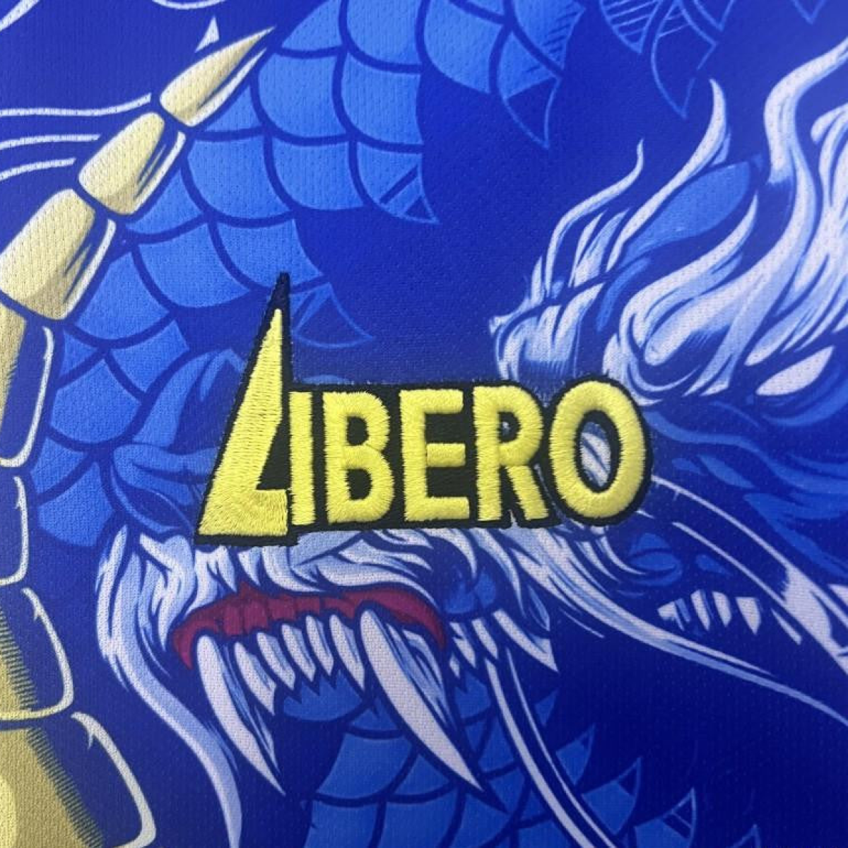 2024 Japan Blue Yellow Dragon Special Jersey