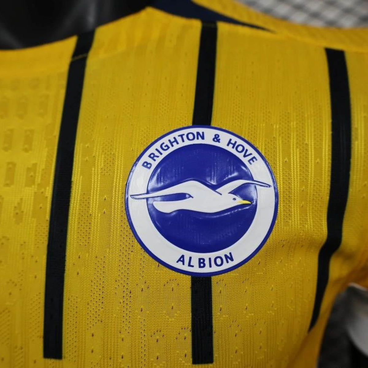 24/25 Player Version Brighton & Hove Albion Away Jersey