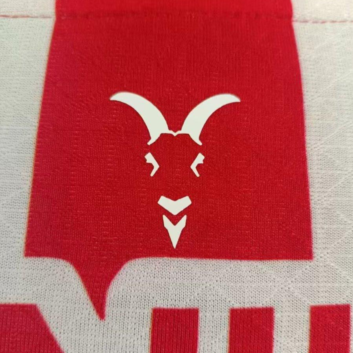 Player Version 24/25 Chivas Guadalajara Home Jersey