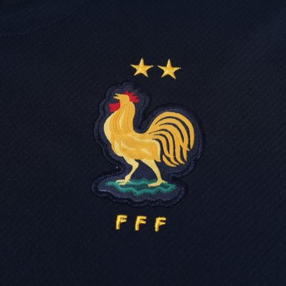 2024 France Cotton Navy Short Sleeve Jersey+Shorts