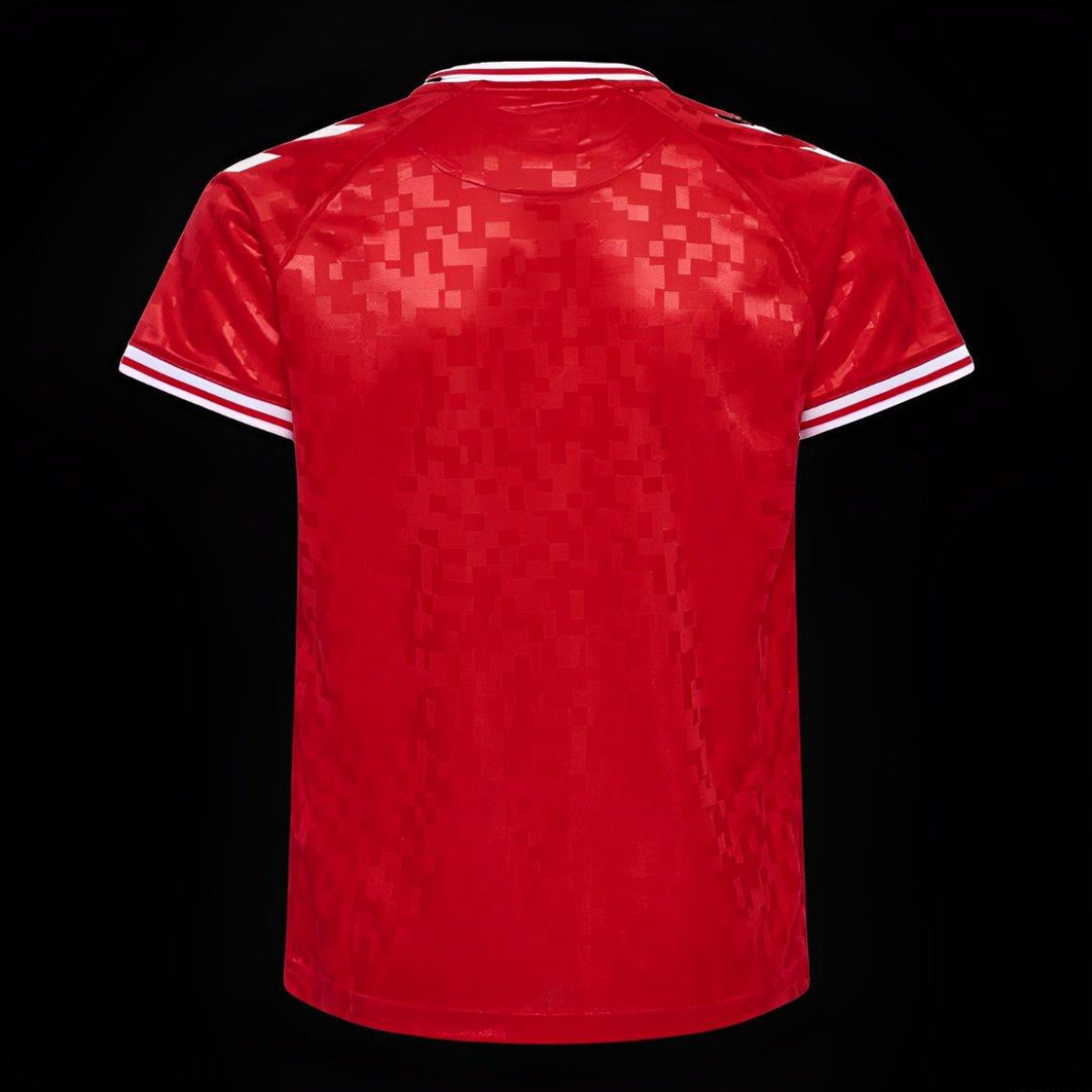 2024 Denmark Home Jersey
