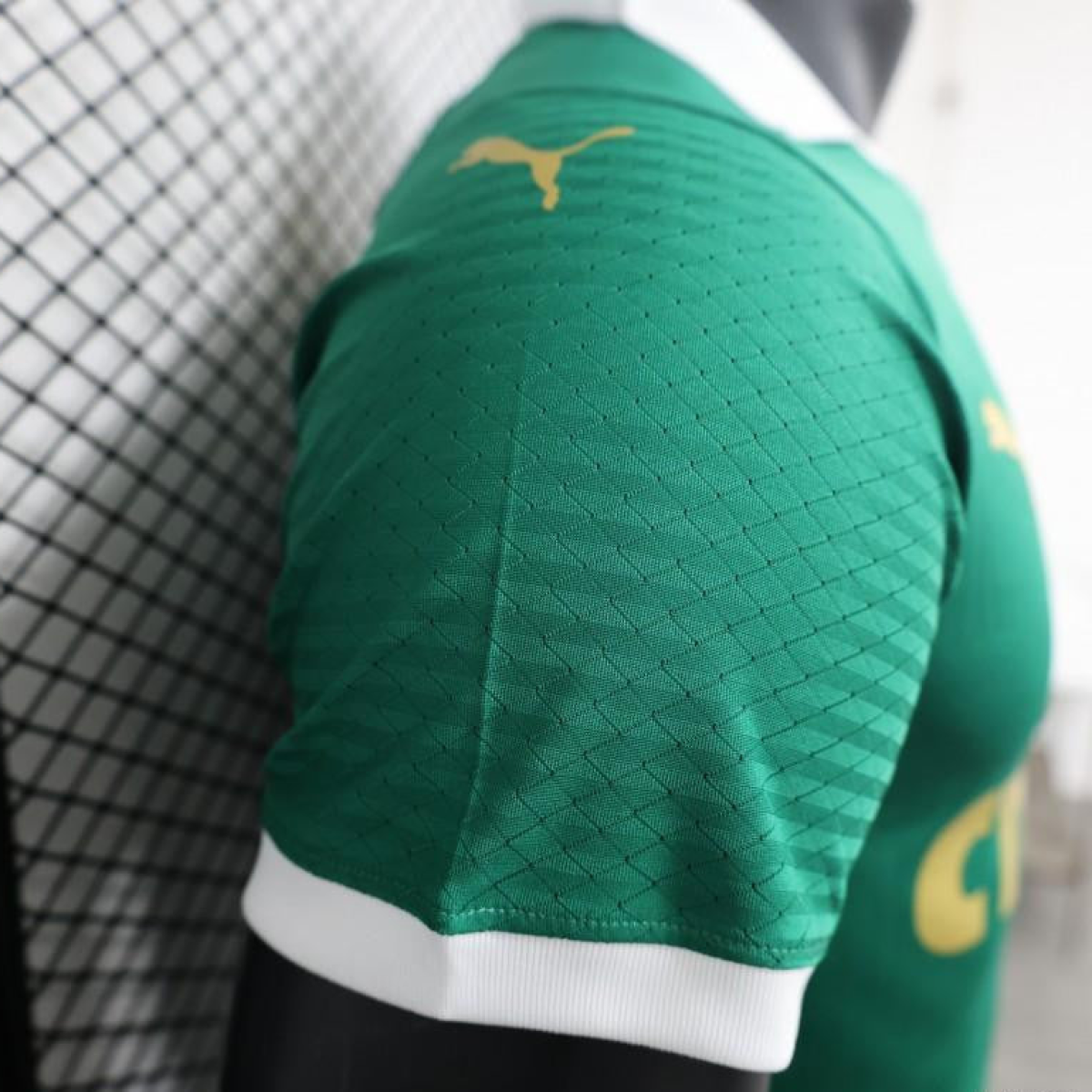 Player Version 24/25 Palmeiras Home Jersey