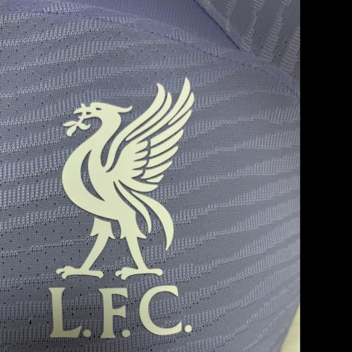 Player Version 23/23 Liverpool Purple Jersey