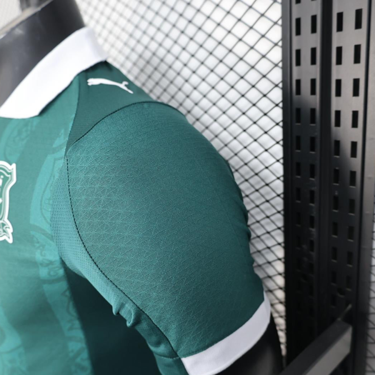 Player Version 25/26 Plymouth Home Jersey Argyle Green with Puma Logo Design
