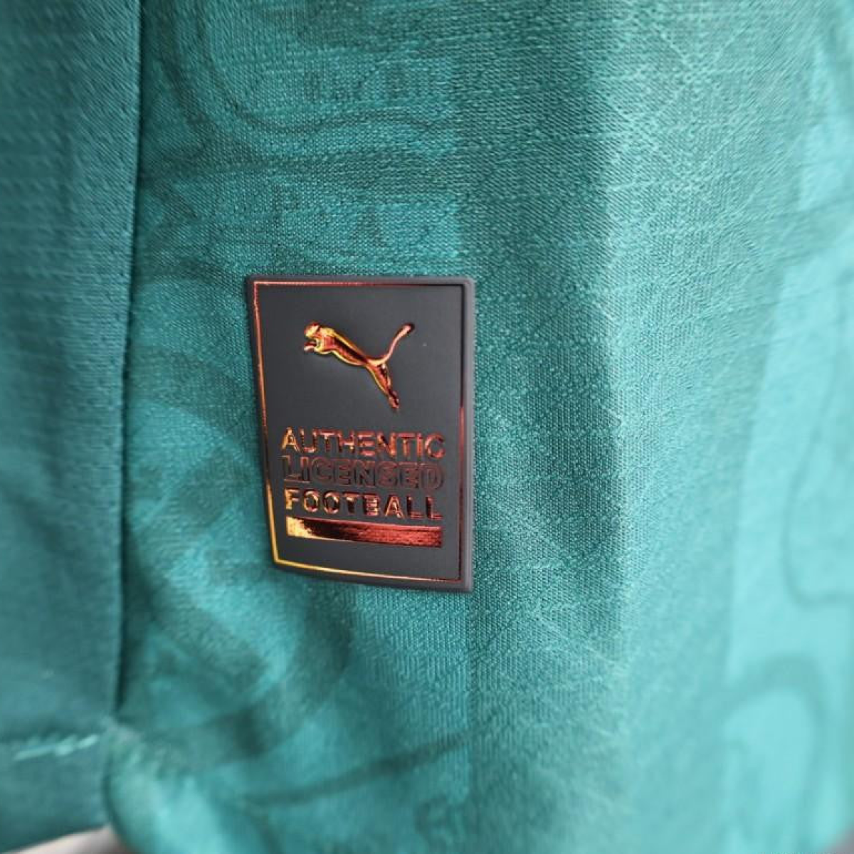 Player Version 25/26 Plymouth Home Jersey Argyle Green with Puma Logo Design