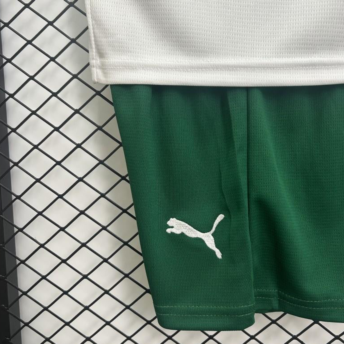 25/26 Kids Palmeiras Away Size 16-28 Jersey