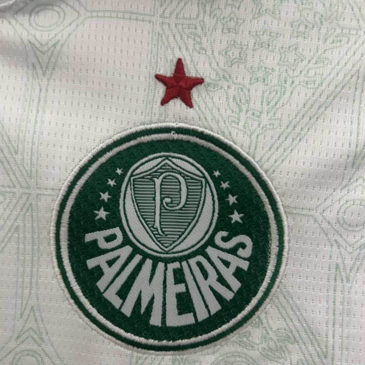 25/26 Kids Palmeiras Away Size 16-28 Jersey