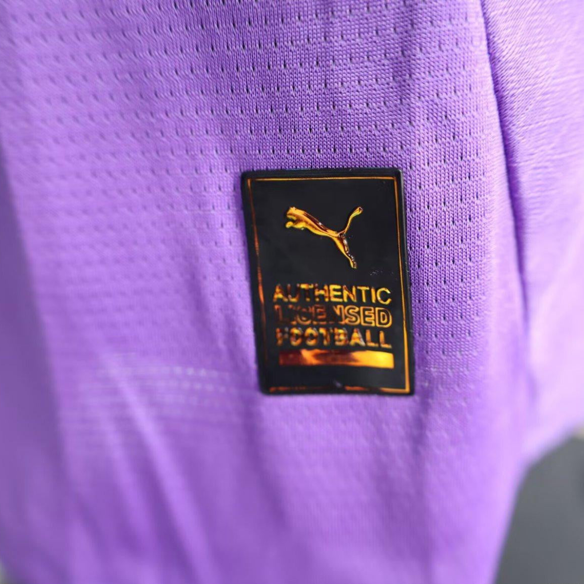 Player Version 24/25 Borussia Dortmund Anniversary 4th Goalkeeper Purple Jersey