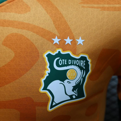 Player Version 2024 IVORY COAST Home Jersey
