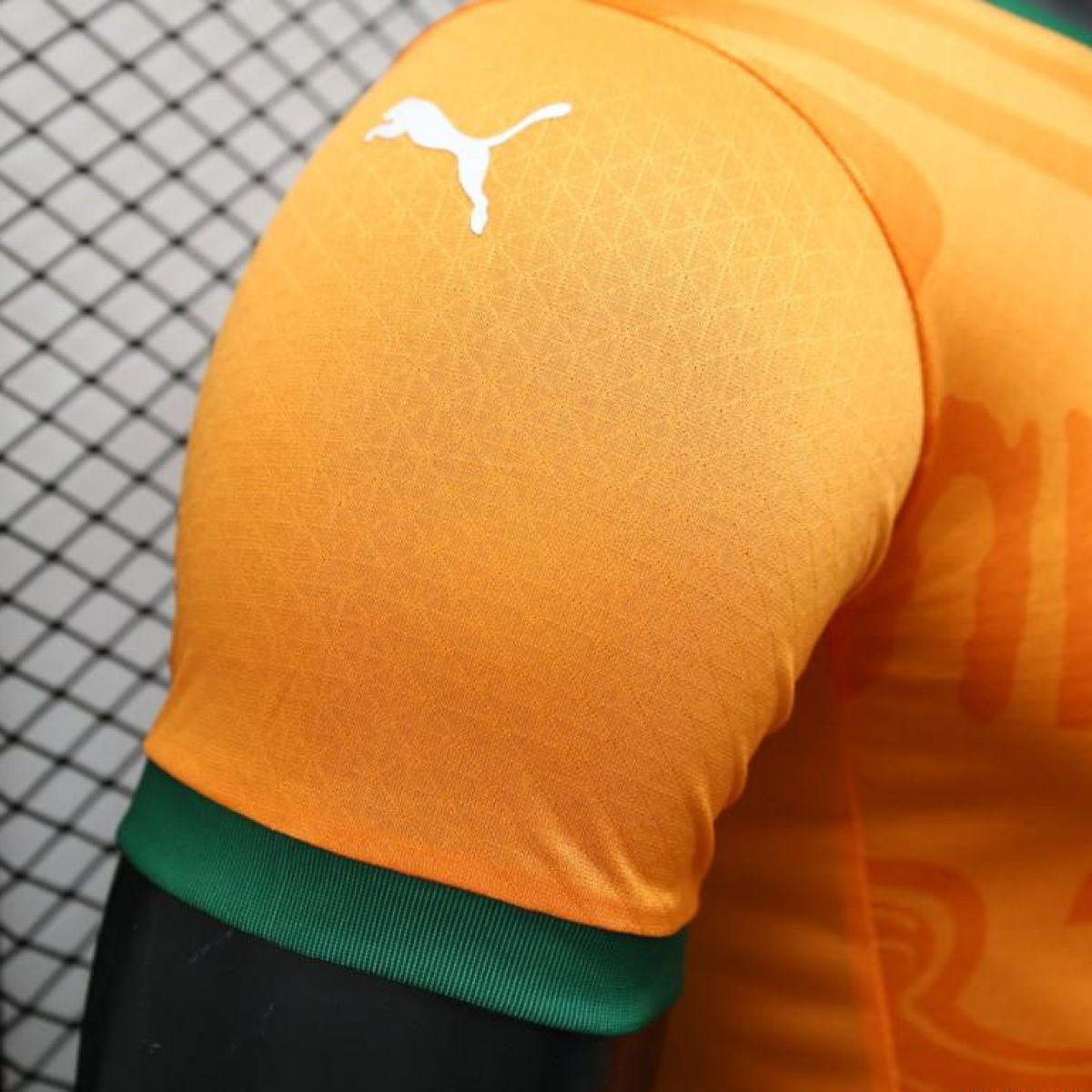 Player Version 2024 IVORY COAST Home Jersey