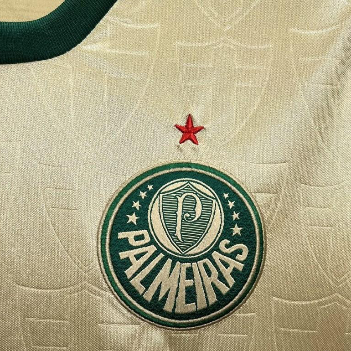 24/25 Palmeiras Thirds Womens Jersey