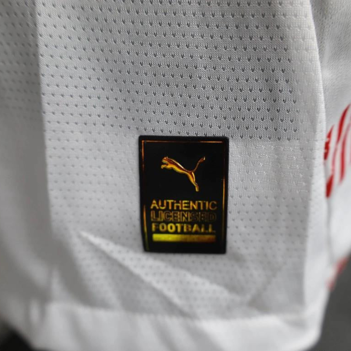 Player Version 24/25 RB Leipzig Home Jersey
