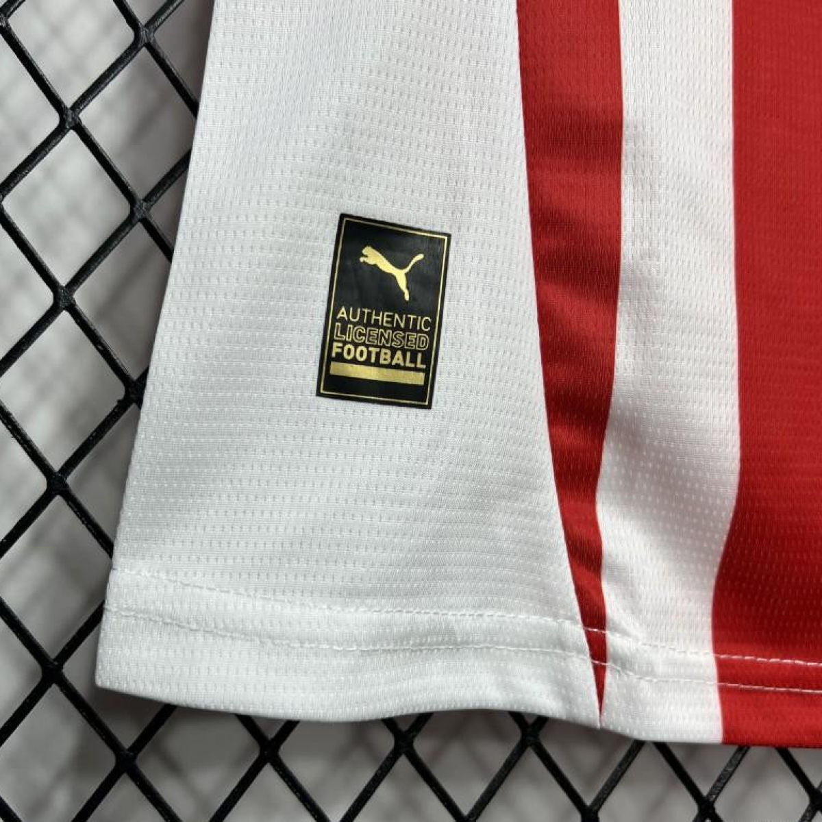 24/25 Women Chivas Guadalajara Home Jersey