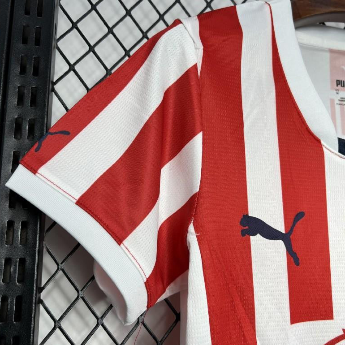 24/25 Women Chivas Guadalajara Home Jersey