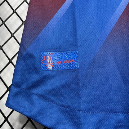 24/25 Women Bahia  Away Jersey