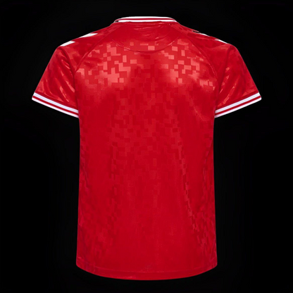 2024 Denmark Home Jersey