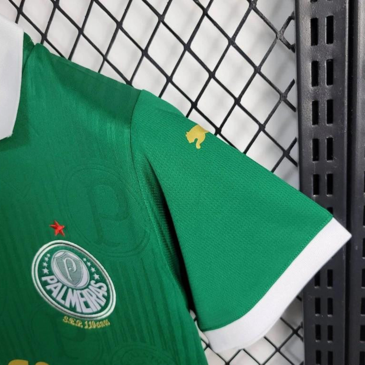 24/25 Women Palmeiras Home Jersey
