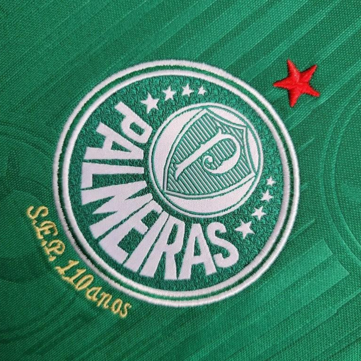 24/25 Women Palmeiras Home Jersey