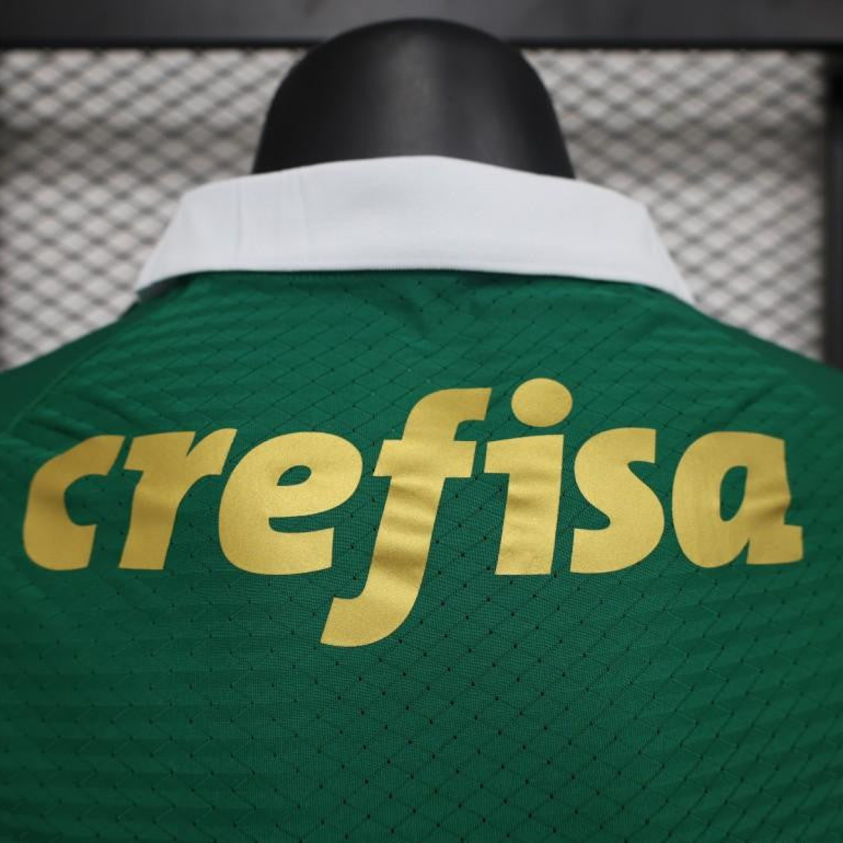 Player Version 24/25 Palmeiras Home Jersey