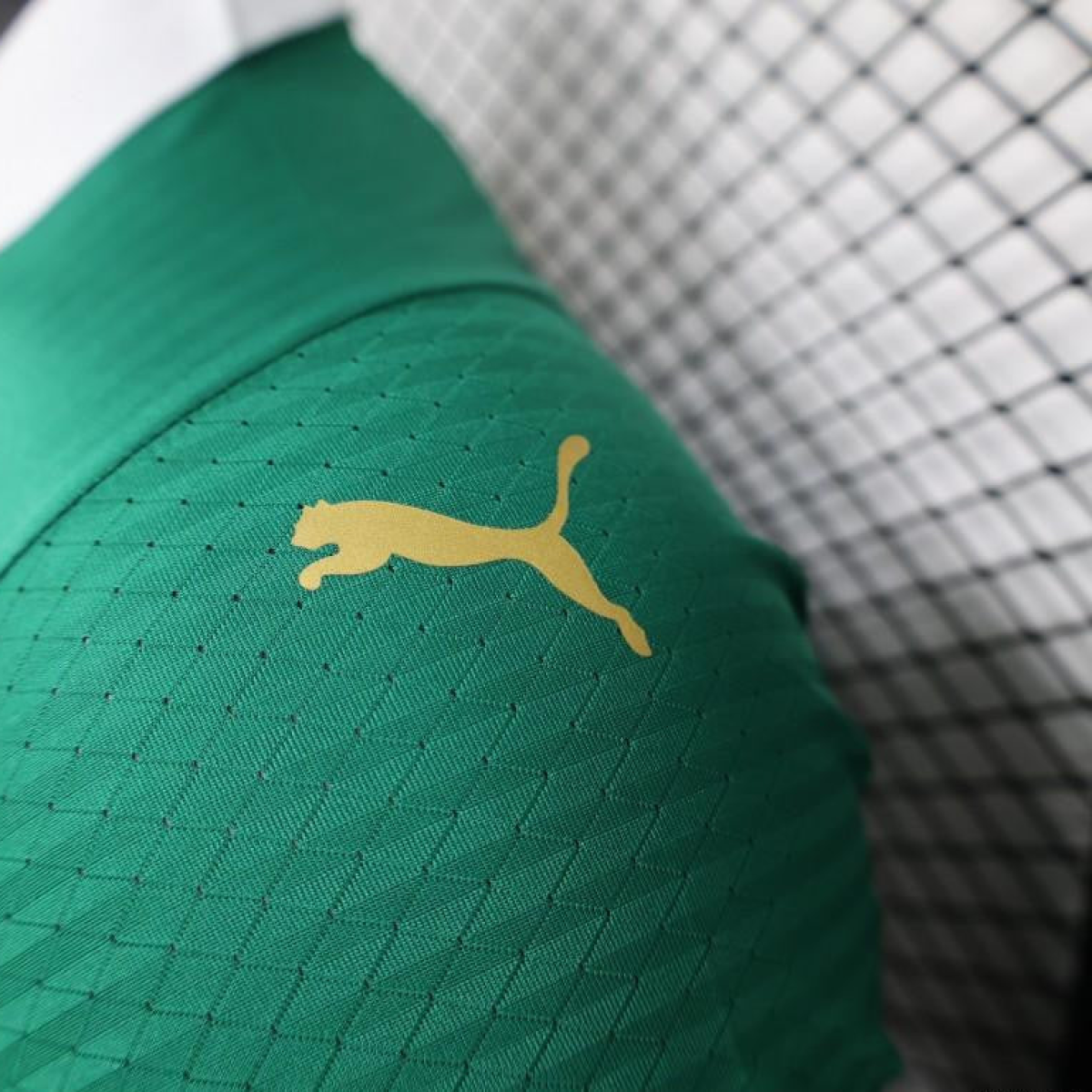 Player Version 24/25 Palmeiras Home Jersey