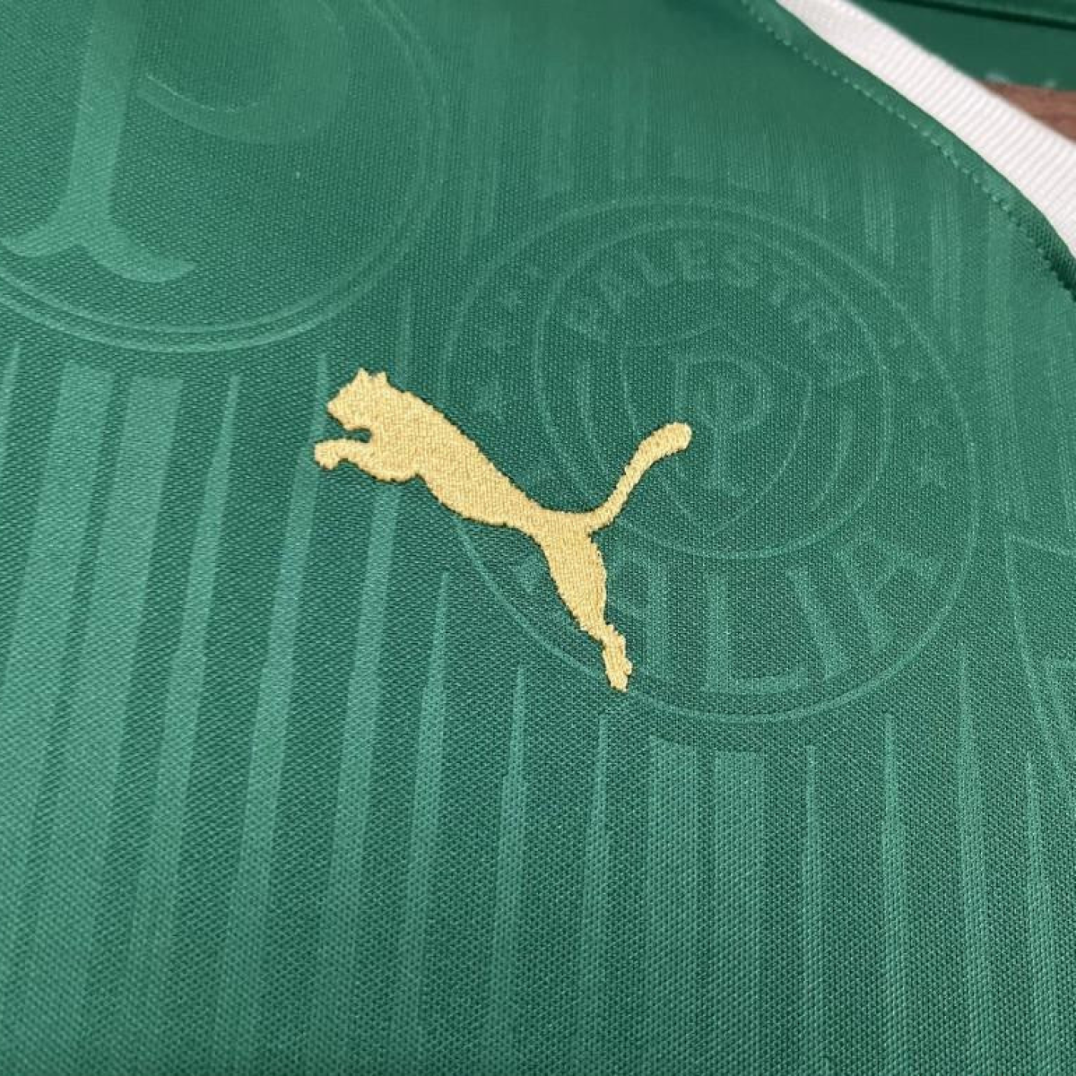 2024/25 Women Palmeiras Home Jersey