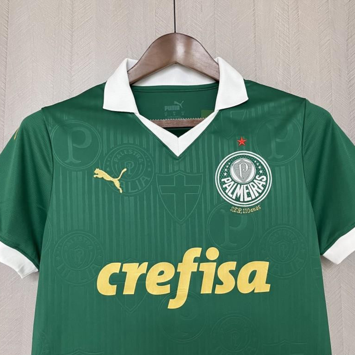 2024/25 Women Palmeiras Home Jersey