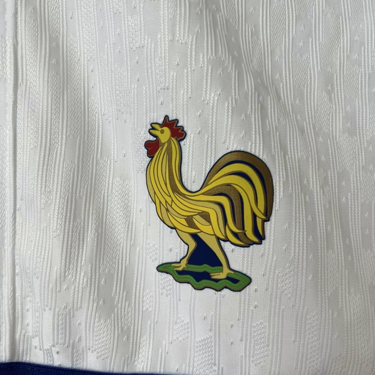 Player Version 2024 France Away Shorts